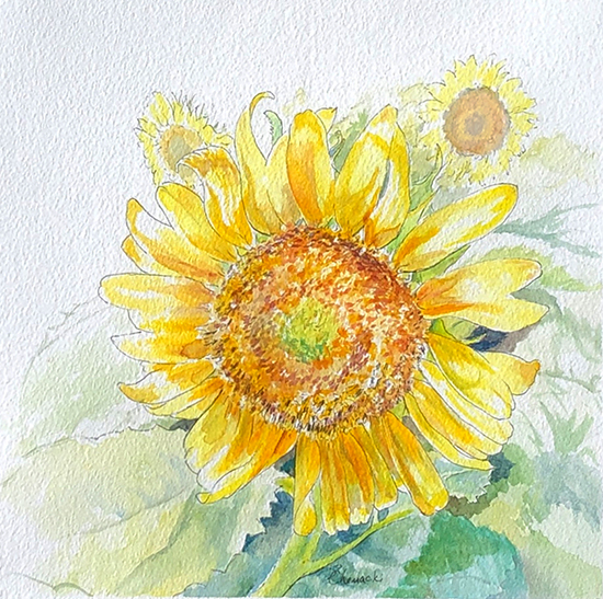 Abbi's Sunflowers (Watercolor painting)